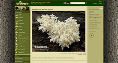 Desktop Screenshot of naturephoto-cz.com