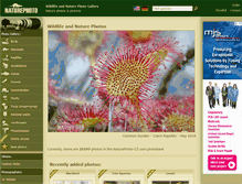 Tablet Screenshot of naturephoto-cz.com